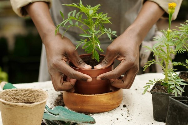 Quelles sont les opportunités de carrière dans les métiers de l'environnement ?